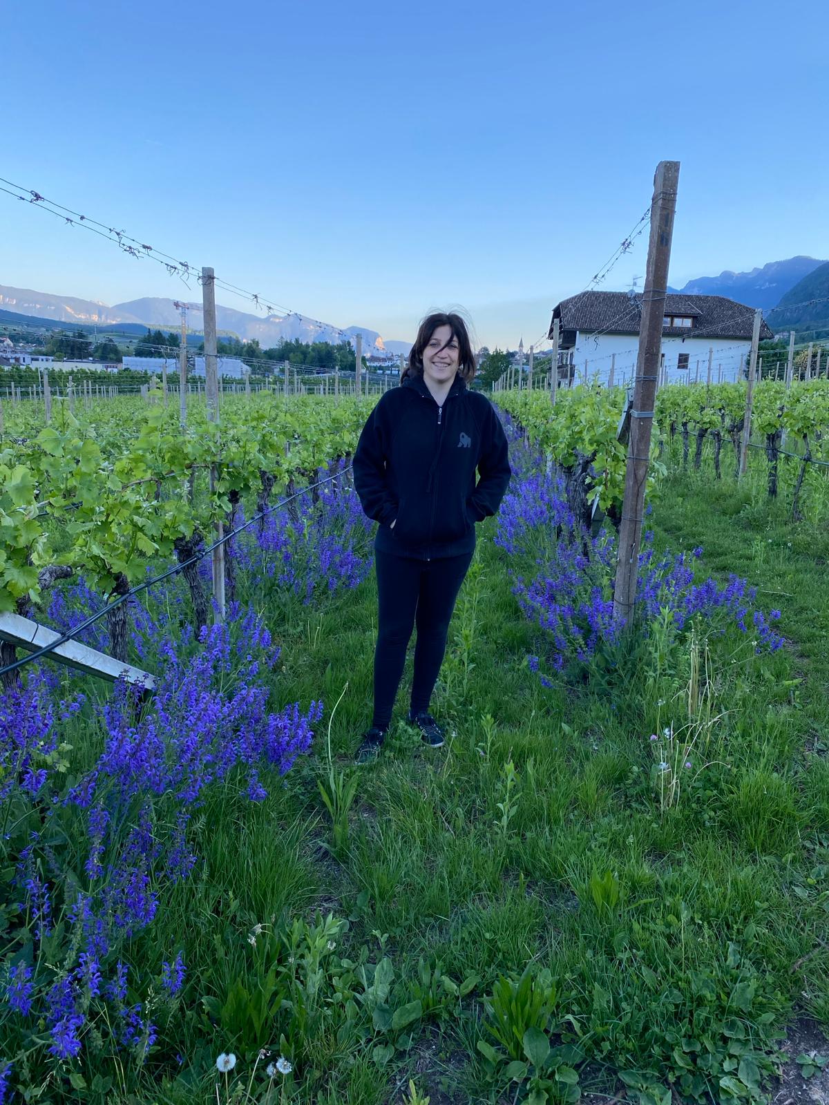 Elisa zwischen Weinreben und Lavendel